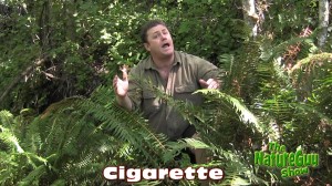 nature guy defines it - cigarette