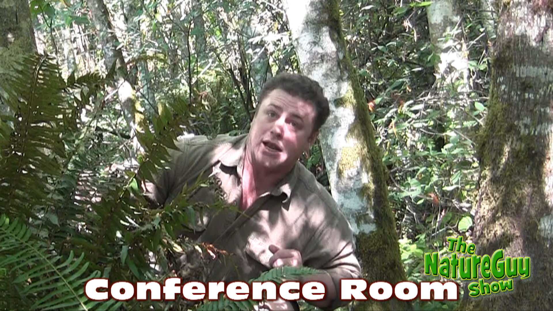 Nature Guy Defines Conference Room